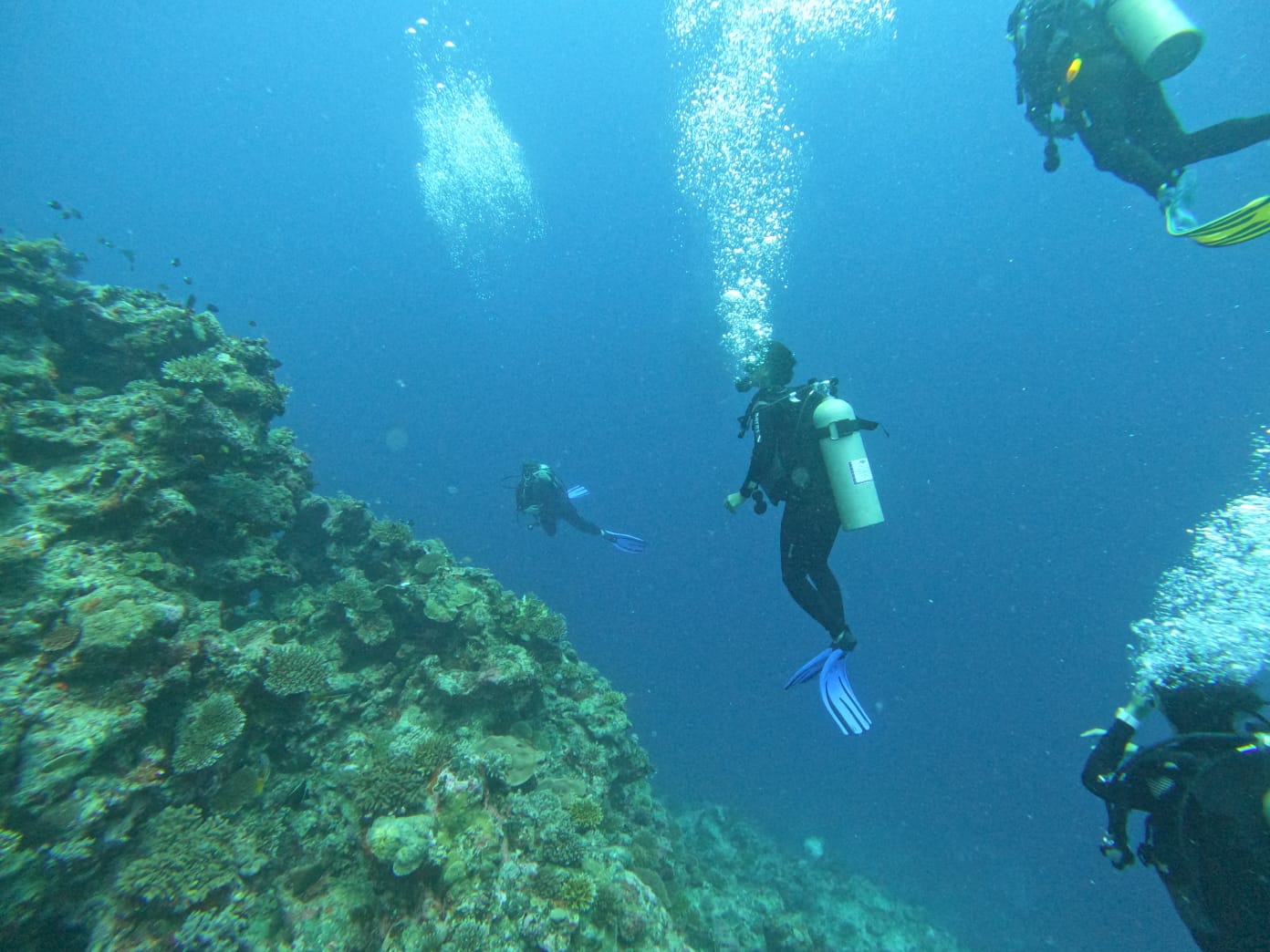 Papageno Resort Background